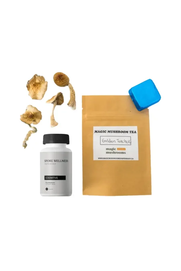 First-timer Magic Mushroom Kit – Psych 101