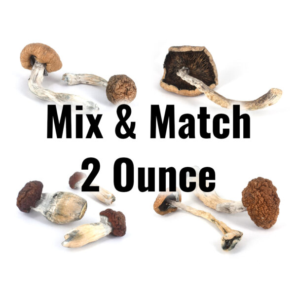 2 Ounce with 4 Strains – Magic Mushrooms – Mix & Match